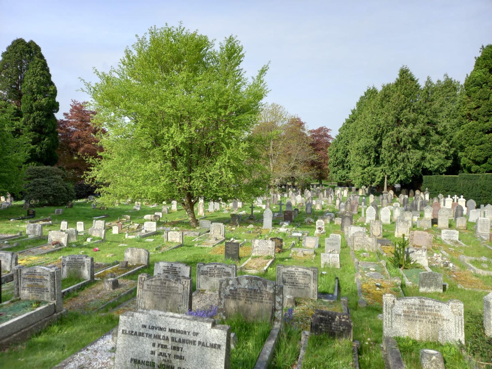 Plymouth Road Cemetery