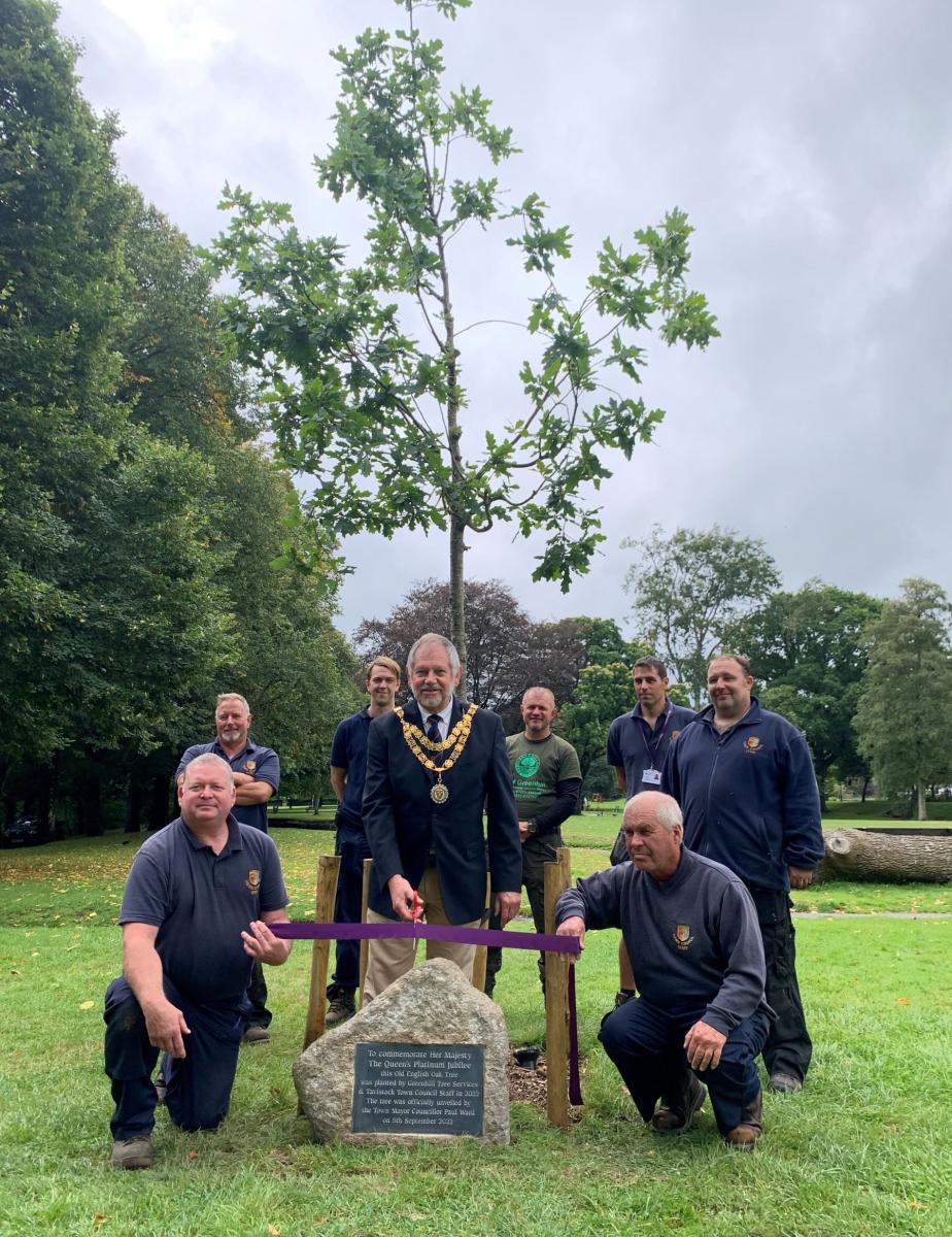 English Oak in the Meadows - Queen's Canopy Initiative