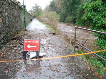 Storm Damage