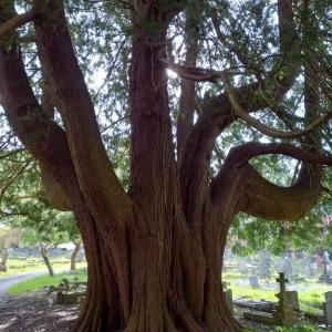 Plymouth Road Cemetery