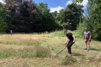 Scything in action 