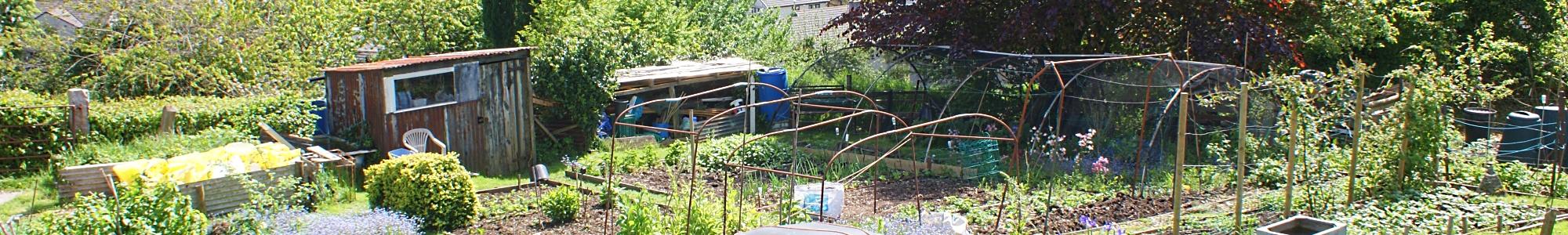 Butcher Park Hill Allotments