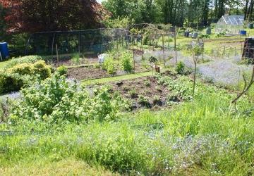 Allotments