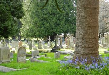 Cemetery Grave's and Memorial's